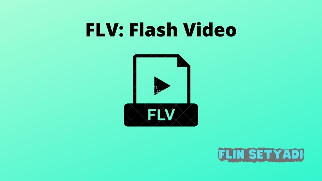 FLV: Flash Video