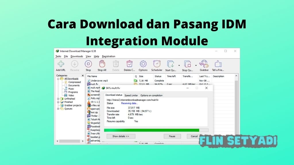 Cara Download dan Pasang IDM Integration Module - Flin Setyadi